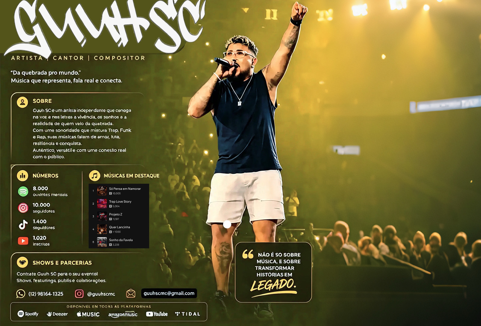 Público em Show do Guuh SC